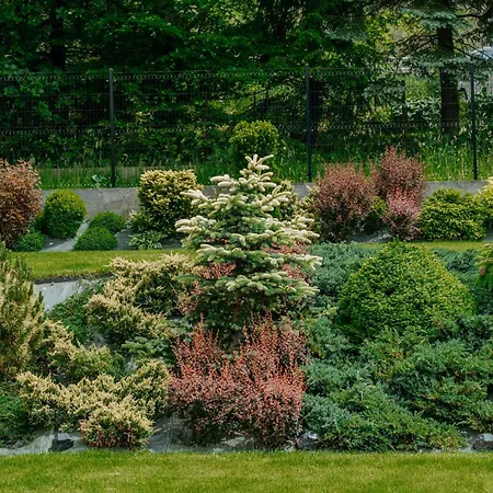 Pensionat Bachledzki Wierch 12