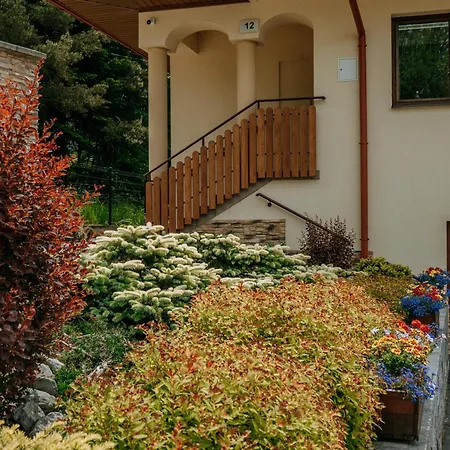 Bachledzki Wierch 12 Zakopane