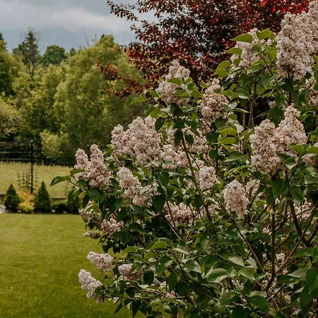 Pensionat Bachledzki Wierch 12 Zakopane